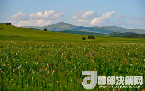 錫林郭勒草原。吳勇攝