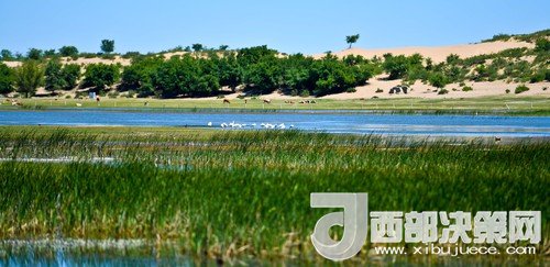 阿魯科爾沁保護區(qū)濕地沙丘。吳勇攝