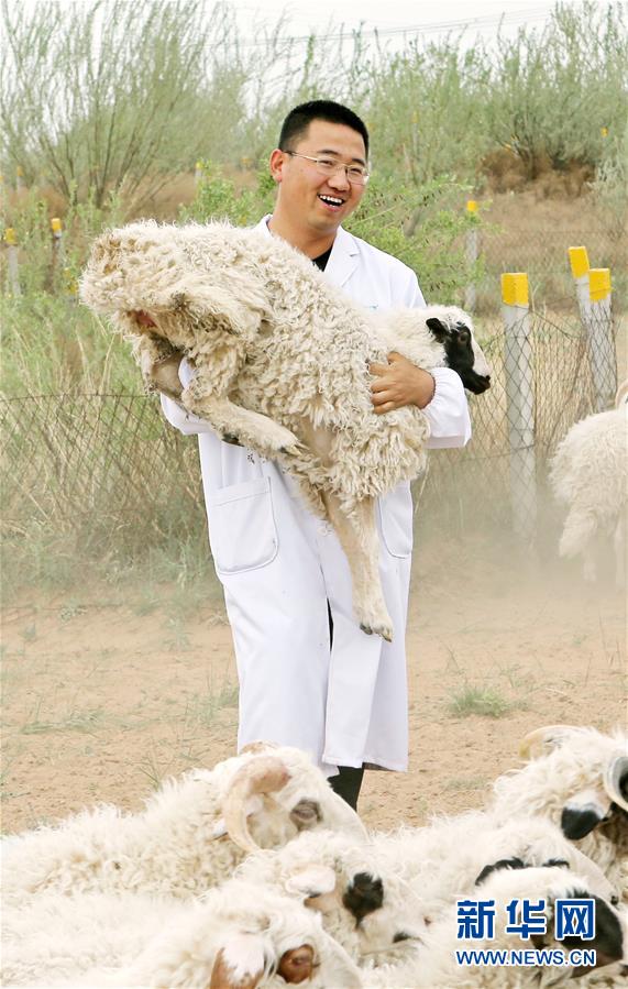 （壯麗70年·奮斗新時(shí)代——共和國發(fā)展成就巡禮·圖文互動(dòng)）（3）生態(tài)美、百姓富——品讀嶄新“寧夏畫卷”