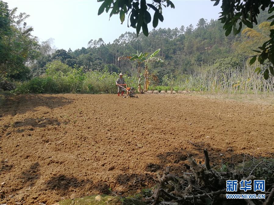 （決戰(zhàn)決勝脫貧攻堅·圖文互動）（4）另一種“逆行”——廣西5300余名駐村第一書記提前返崗投身“兩線作戰(zhàn)”