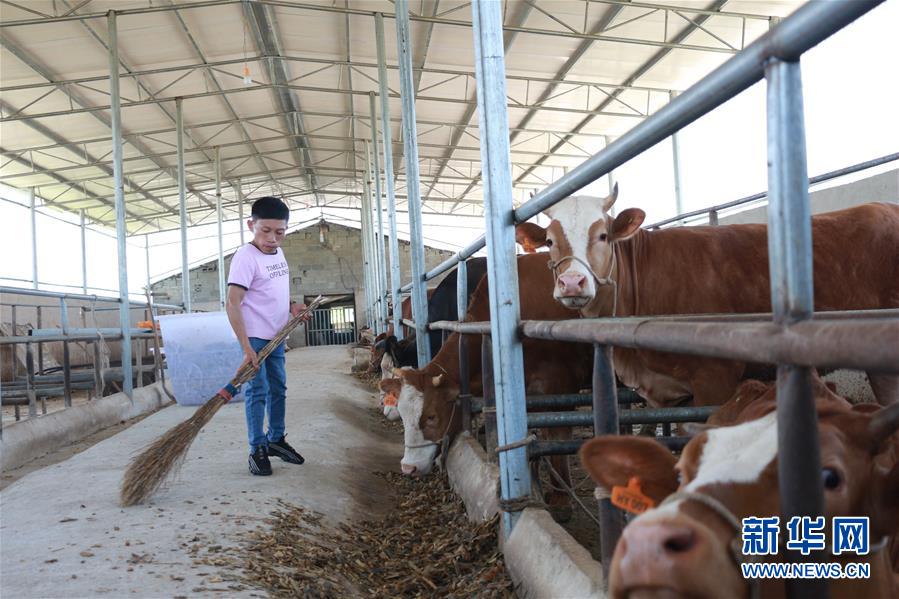 （新華全媒頭條·圖文互動(dòng)）（7）刺梨花開(kāi)滿(mǎn)山紅——記在貴州脫貧攻堅(jiān)一線(xiàn)奮斗的殘疾人