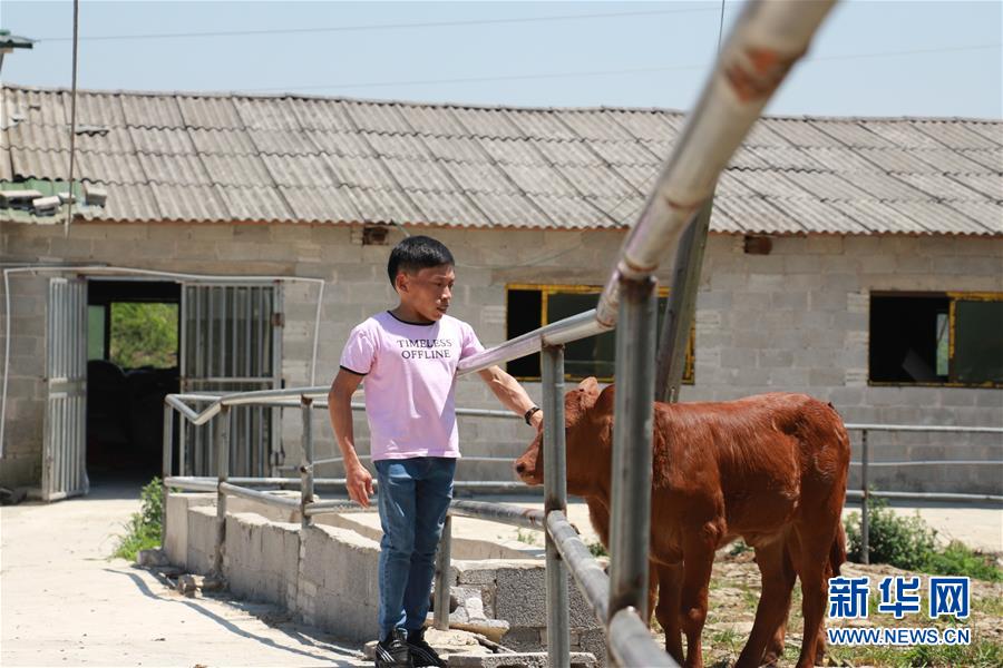 （新華全媒頭條·圖文互動(dòng)）（8）刺梨花開(kāi)滿(mǎn)山紅——記在貴州脫貧攻堅(jiān)一線(xiàn)奮斗的殘疾人