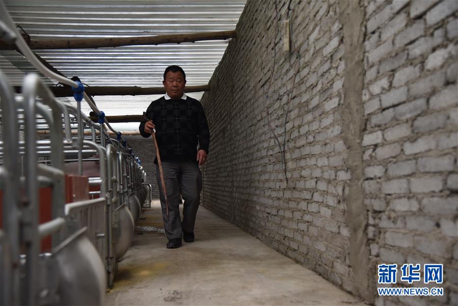 （新華全媒頭條·圖文互動(dòng)）（6）刺梨花開(kāi)滿(mǎn)山紅——記在貴州脫貧攻堅(jiān)一線(xiàn)奮斗的殘疾人