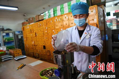 疫情發(fā)生以來，甘肅確保所有病例盡早、及時、全程使用中醫(yī)中藥，努力做到“一患一方案”。(資料圖) 楊艷敏 攝