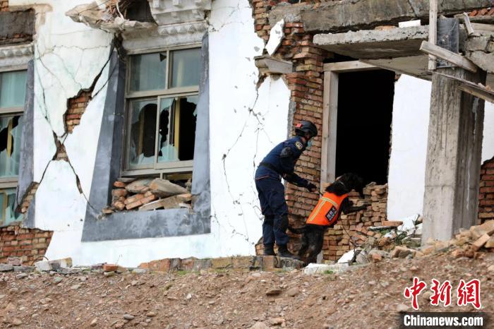 圖為搜救犬進(jìn)行模擬搜救。青海省應(yīng)急廳