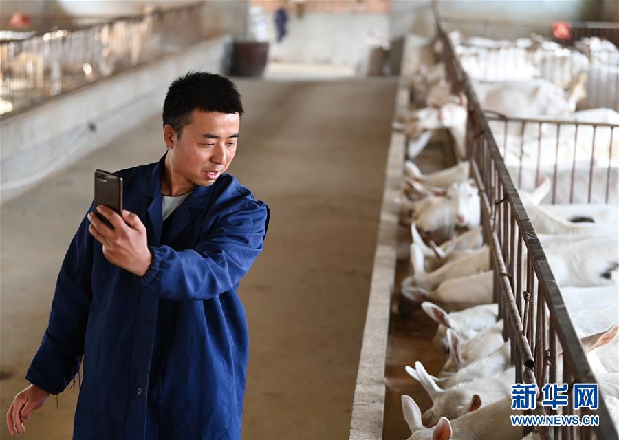 （新華全媒頭條·五中全會精神在基層·圖文互動(dòng)）（12）奮發(fā)新青年　逐夢新征程——各地青年學(xué)習(xí)貫徹落實(shí)五中全會精神觀察