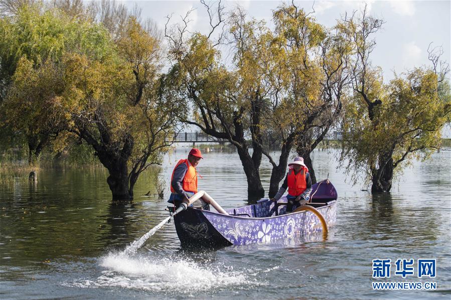 （新華全媒頭條·五中全會精神在基層·圖文互動(dòng)）（9）奮發(fā)新青年　逐夢新征程——各地青年學(xué)習(xí)貫徹落實(shí)五中全會精神觀察