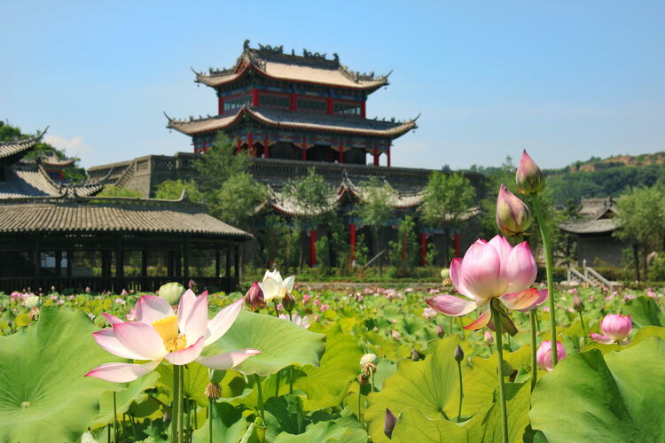 【云游渭南】心中若有桃花源，此處便是水云間！待疫情散盡，一起來(lái)渭南桃花源賞美景、觀民俗、享美食_fororder_2