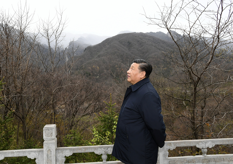 2020年4月20日，習(xí)近平在陜西秦嶺牛背梁國家級自然保護區(qū)，了解秦嶺生態(tài)保護工作情況。